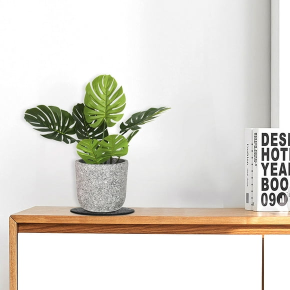 PAMINGONO 20Ud Para Maceta Interior Con Protección Absorbente Para Superficies