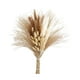thumbnail image 3 of Ramo de hierba natural, set de decoración de hierba seca, flores decorativas de caña seca Estilo A, 3 of 9