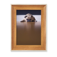 thumbnail image 1 of Dog Animal Room Floor Picture Desktop Wooden Photo Frame Display Picture Art Painting Multiple Sets, 1 of 3