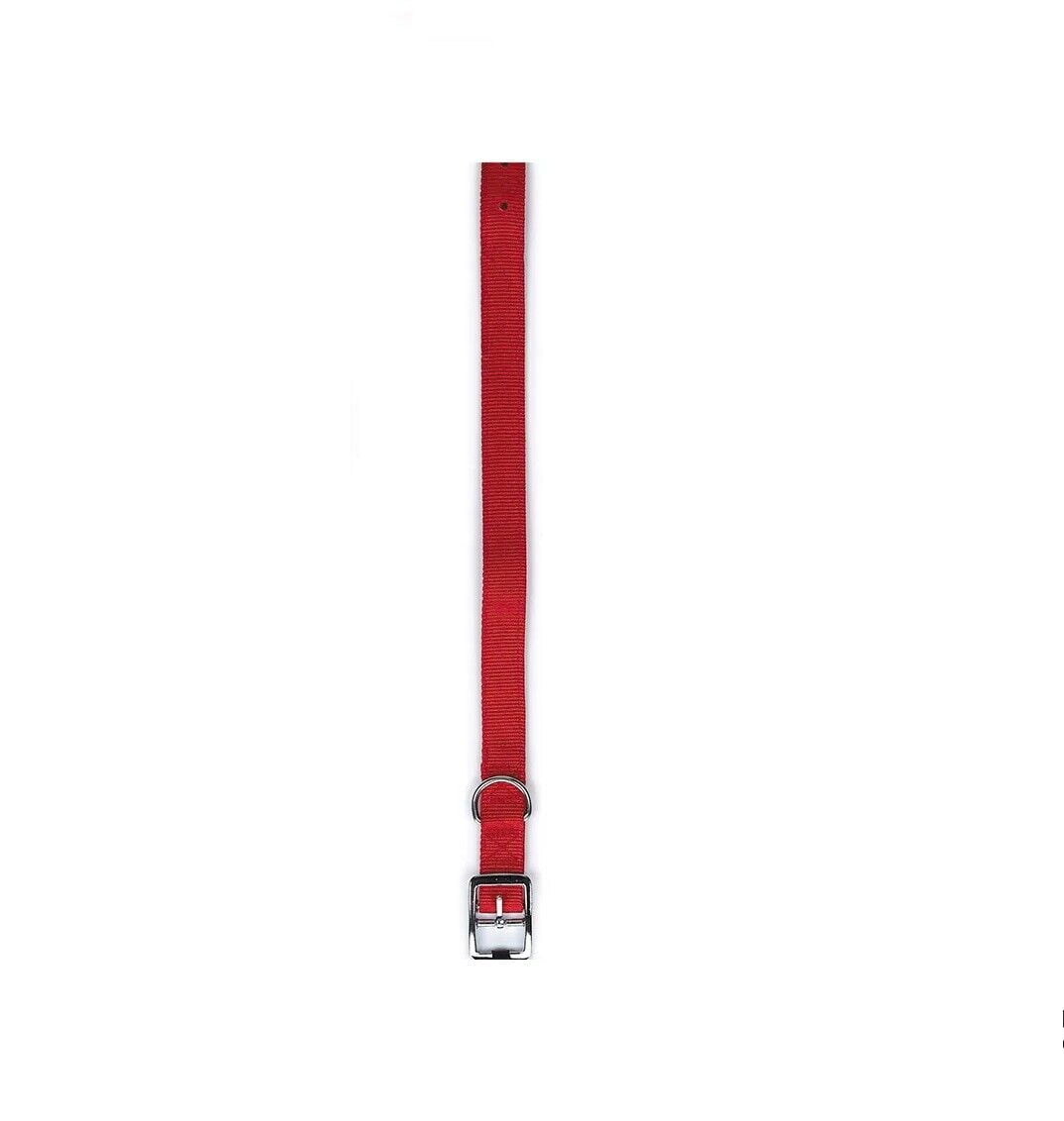 Bright Red Dog Collars Double Thick Nylon Strong Metal Buckle Heavy Duty (19 to 22 Inch)