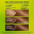 thumbnail image 3 of Garnier Nutrisse Nourishing Color Creme, Light Natural Brown [60], 1 Each, 2 Pack, 3 of 5