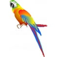 thumbnail image 2 of Parrot Wall Mural by Wallmonkeys Peel and Stick Graphic (24 in H x 16 in W) WM321733, 2 of 4