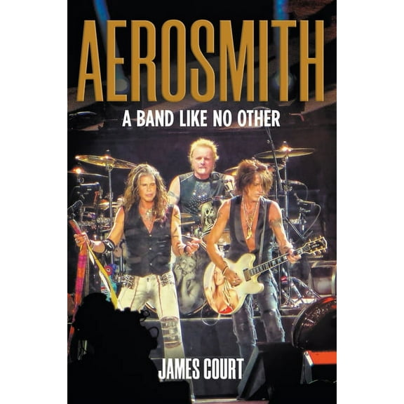 Aerosmith: A Band Like No Other (Paperback)