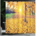 thumbnail image 4 of Ambesonne Autumn Shower Curtain, Evening Natural Park, 69"Wx70"L, Yellow Green, 4 of 5