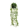 thumbnail image 1 of Wosthever Planta artificial de eucalipto colgante con maceta, hojas verdes falsas, hogar, jardín, oficina, guirnalda realista, estante de uva Decoración verde original, 1 of 6