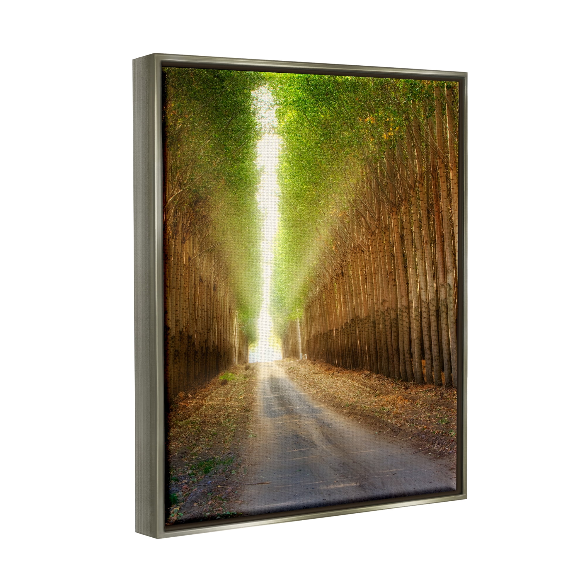 Stupell Industries Sunlit Tree Grove Pathway Landscape Photography Gray Floater Framed Art Print Wall Art
