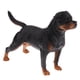thumbnail image 5 of 2 uds simulación de animales salvajes modelo Rottweiler perro mascota figuras de acción chico juguete educativo hogar figuritas coleccionables decorac Sunnimix Juguete modelo animal, 5 of 8