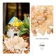 thumbnail image 3 of BESTYASH Decorativas Multicolor Para Acuarios Con Natural Para Peceras Y Jardinería, 3 of 8
