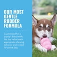thumbnail image 3 of Goma de dentición natural Chew Toy KONG Puppy para perros grandes, 3 of 9