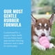 thumbnail image 2 of Goma de dentición natural Chew Toy KONG Puppy para perros medianos, 2 of 9