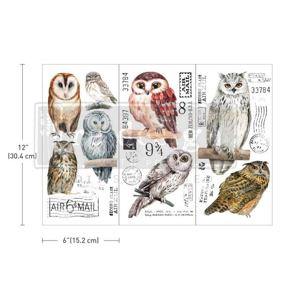 SMALL TRANSFERS â€“ OWL