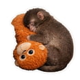 thumbnail image 3 of Sticker Pack,Fun Stickers; Kids Stickers; Decorative Stickers; Diy Sticker Set; Creative Sticker Collection普通产品 -> Home & Garden -> 家居装饰 -> Stickers 贴纸Punch The Monkey | Cute Monkey Holding Plush Toy, 3 of 5
