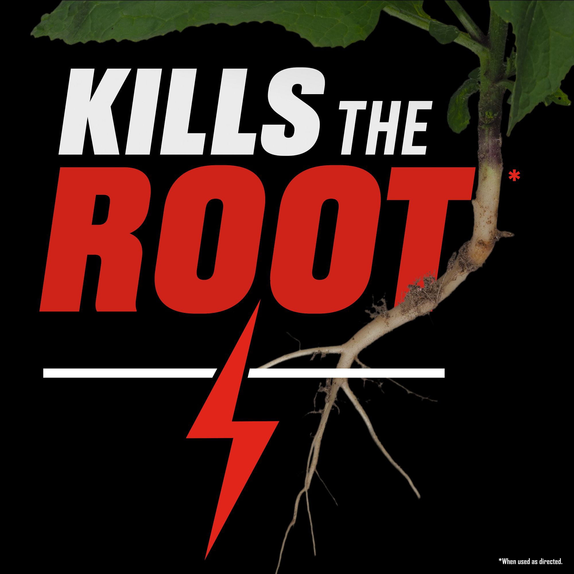 Ortho GroundClear Year Long Vegetation Killer2 Concentrate, Kill and Prevent Weeds, 2 gal.