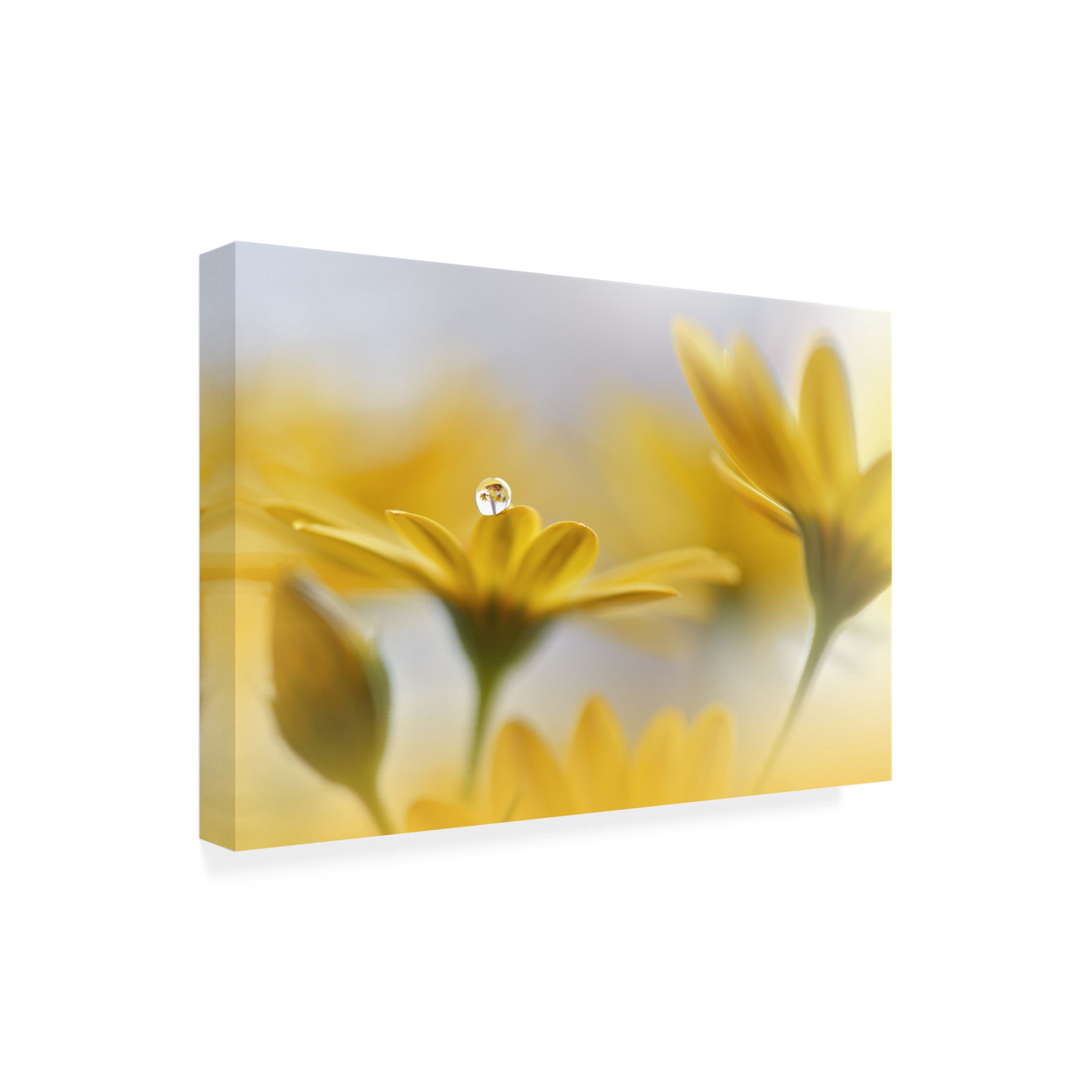 Trademark Fine Art Juliana Nan  Summer Melody Canvas Wall Art