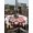 White, variant on Outdoor Tablecloth with Umbrella Hole and Zipper, Red Valentine's Day Round Table Cloth 54 Inch Waterproof Tablecloth, Love Heart Gnomes Red Black Plaid Picnic Table Cover for Patio Camping