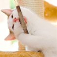 thumbnail image 5 of Chew Sticks Cat Toys, Natural Cat Teeth Nip Cleaning Teeth Chew Catnip Toys For Indoor Cat Teeth Cleaning Kitten Teething And Stress Release, 5 of 5