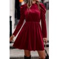 thumbnail image 1 of FOLUNSI Velvet Ruffle Gigot Swing Dress: Chic & Flattering, 1 of 5