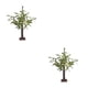 thumbnail image 1 of Yuarrent Lámpara de árbol bonsái elegante y práctica, luz que cuida los ojos, regalo, lámpara LED en forma de árbol, luz nocturna, blanco cálido Desprendimientofondo55CM 2Conjunto, 1 of 6