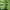 Green, variant on Edvintorg Women's Boho Palazzo Pants Wide Leg Lounge Pants Casual Printing Elastic Waist Comfortable Straight Loose Pants With Pockets On Clearance