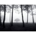 thumbnail image 2 of Braun Studio 32x25 White Modern Wood Framed Museum Art Print Titled - Spectrum Forêt, 2 of 4