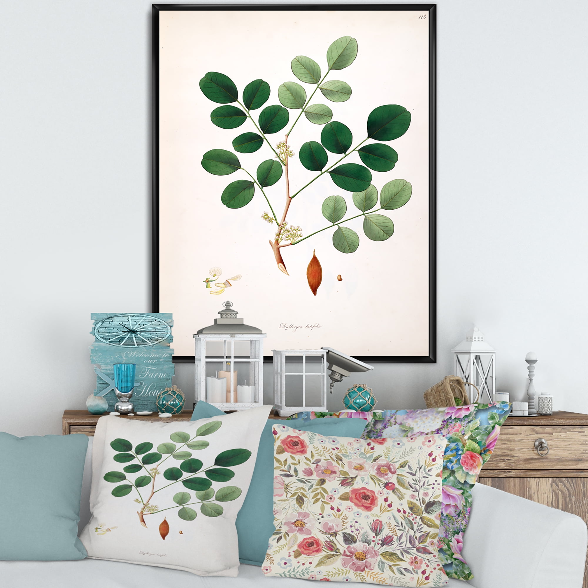 Designart 'Ancient Plant Life XI' Farmhouse Framed Canvas Wall Art Print