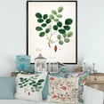 thumbnail image 2 of Designart 'Ancient Plant Life XI' Farmhouse Framed Canvas Wall Art Print, 2 of 5