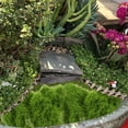 thumbnail image 3 of 1 bolsa de musgo Artificial, manualidades DIY, musgo falso, planta en maceta, musgo falso, macetero de interior, musgo falso, 3 of 6