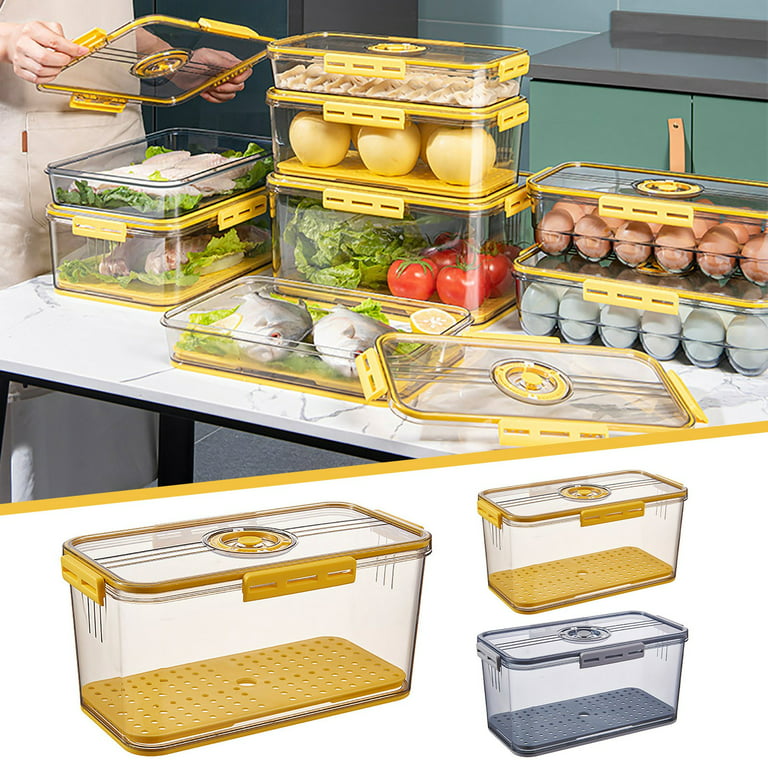 Potato Chip Storage Containers for Pantry Coffee Storage Container Airtight  Fresh Produce Vegetable Fruit Storage Containers With Time Recording Fridge  Storage Container 1 Reusable Storage Bags 