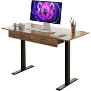 45" Office Electric Standing Desk with 2 Drawers Adjustable Height Desk