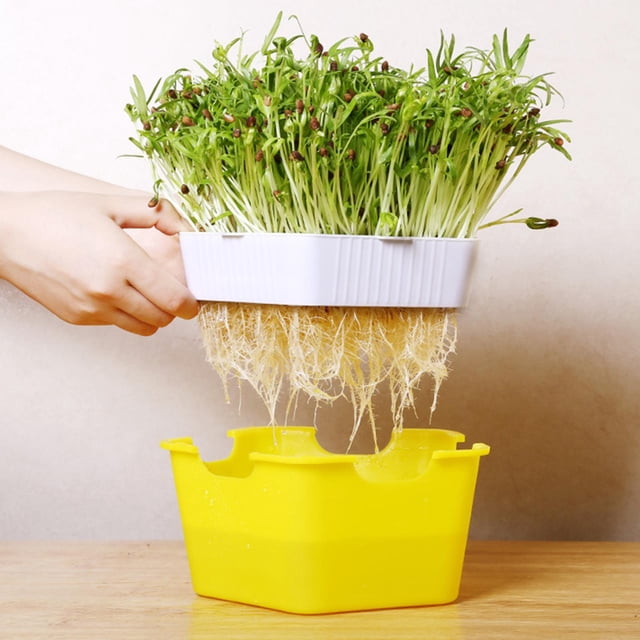 Bandejas de Inicio de Plántulas Sin con Tapa Bandejas de Inicio de Plantas para Flores Hierbas Verduras Jardinería Invernadero Peanut Okra Amarillo