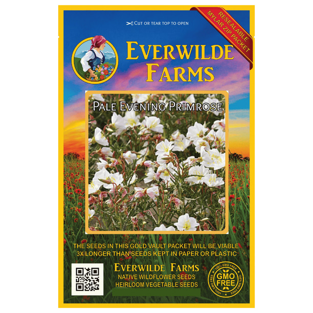 Everwilde Farms 1 Oz Pale Evening Primrose Native Wildflower Seeds