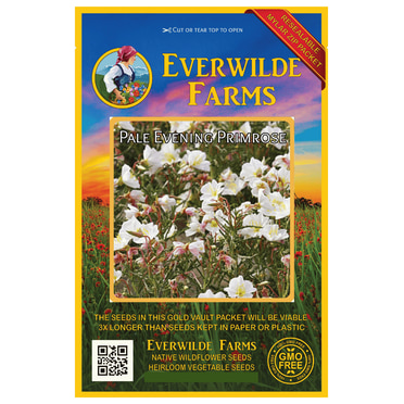 Everwilde Farms - 1 Oz Fleabane Daisy Native Wildflower Seeds - Gold Everwilde Farms - 1 Oz Fleabane Daisy Native Wildflower Seeds - Gold