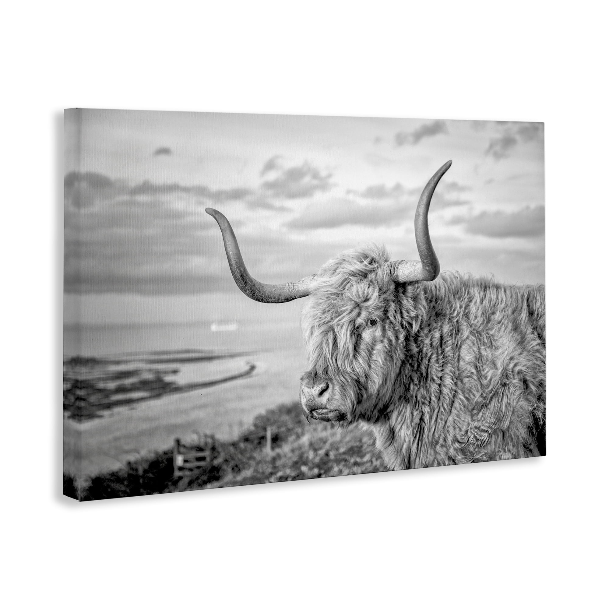 Stupell Industries Cattle with Ocean Breeze Animals & Insects Photography Gallery Wrapped Canvas Art Print Wall Art, 30 x 20