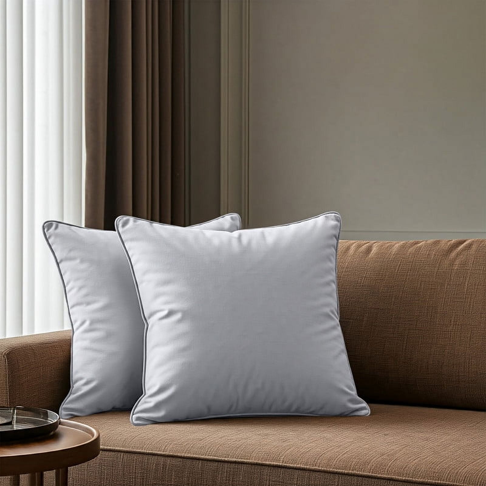 A1HC Set of 2 Luxurious Soft Velvet Throw Pillow Covers Only, 22"x22", Light Grey, Decorative Cushion Covers with Hidden YKK Zipper for Sofa or Bed