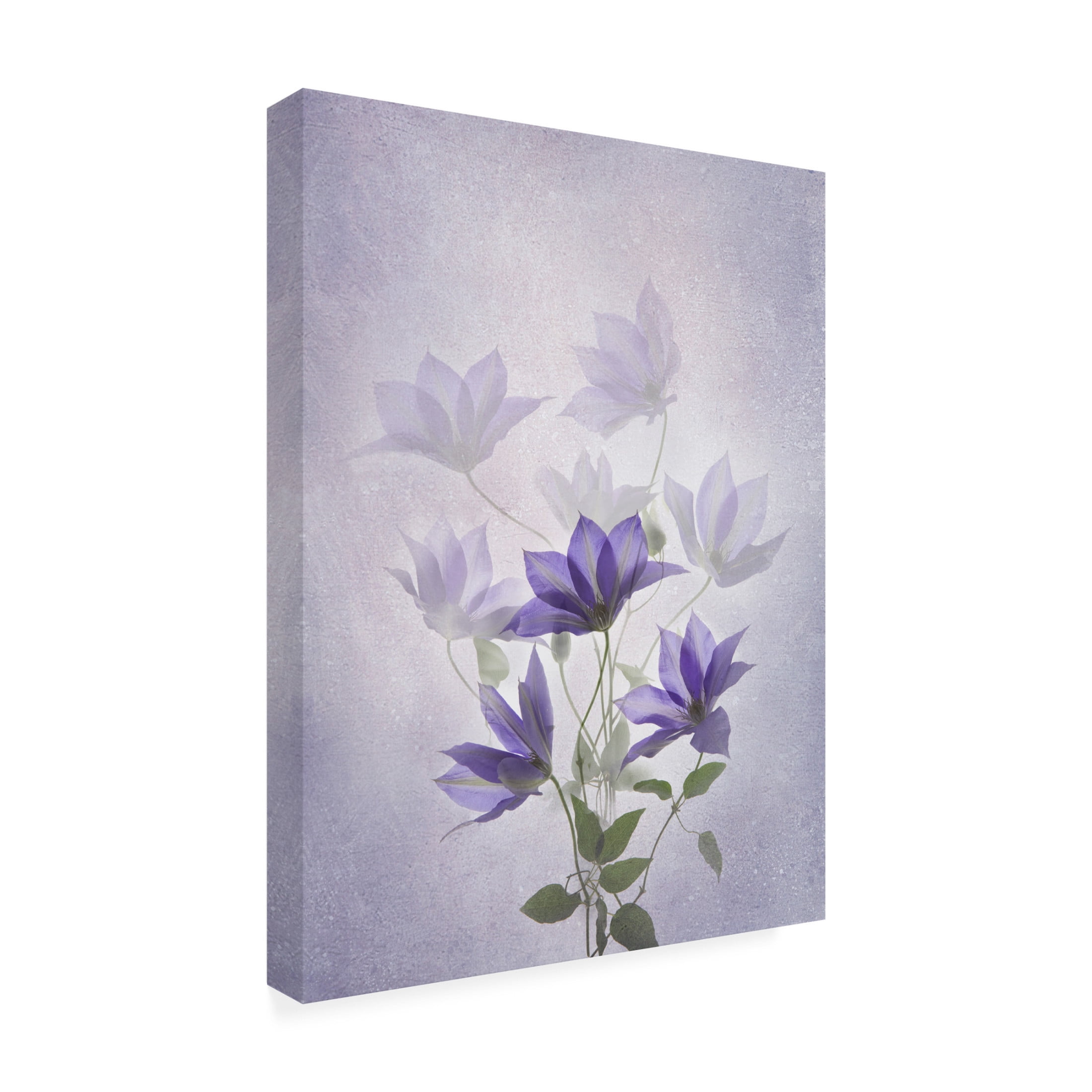 Trademark Fine Art Binbin L  Purple Clematis Canvas Wall Art