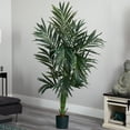 thumbnail image 4 of Nearly Natural 6' Kentia Artificial Tree, 4 of 4