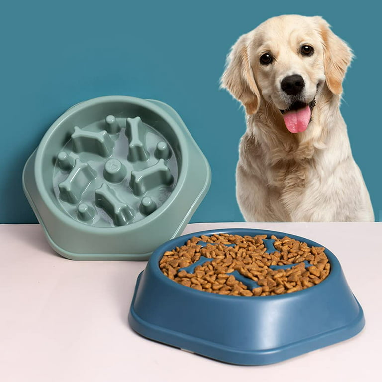 7 Best Slow-Feed Dog Bowls (35+ Tested & Reviewed) - Dog Lab