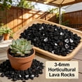 thumbnail image 6 of Black Lava Rocks for Plants, 350g Pure Volcanic Rock Lava Stones Top Dressing for Cacti Succulents Plants, Bonsai, 6 of 8