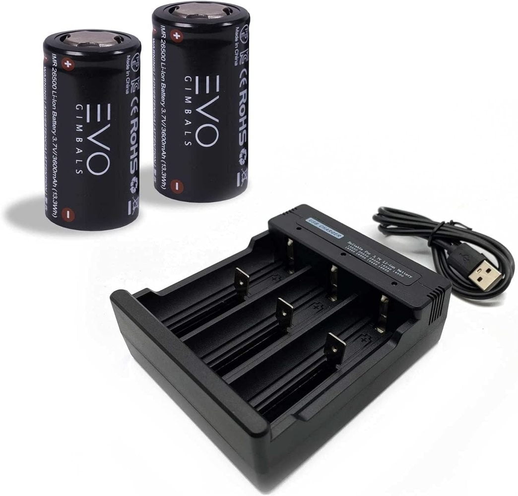 FULenQnu 3600mAh Rechargeable Batteries & LiION Charger Bundle for EVO