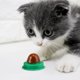 thumbnail image 5 of 10 piezas de bocadillos para gatos, dulces para mascotas, hierba gatera, pelota para lamer, suministros para mascotas (sabor aleatorio), 5 of 7