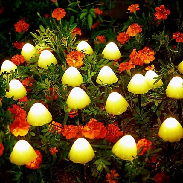 Luzes Solares Al Aire Libre Serie de Luz de Setas Al Aire Libre -5M 10 Luces/8M 20 Luces Disponibles en Tres Colores Luzes de Cuerda Solares Al Aire Libre