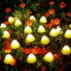 thumbnail image 2 of Xihbxyly Luces Solares En Forma de Hongo, Diseño de Ahorro de Energía con Energía Solar, Opciones Multicolor, Decoración de Jardín Exterior, Iluminación para Fiestas En El Patio, 10 Luces de 5 M o 20, 2 of 2