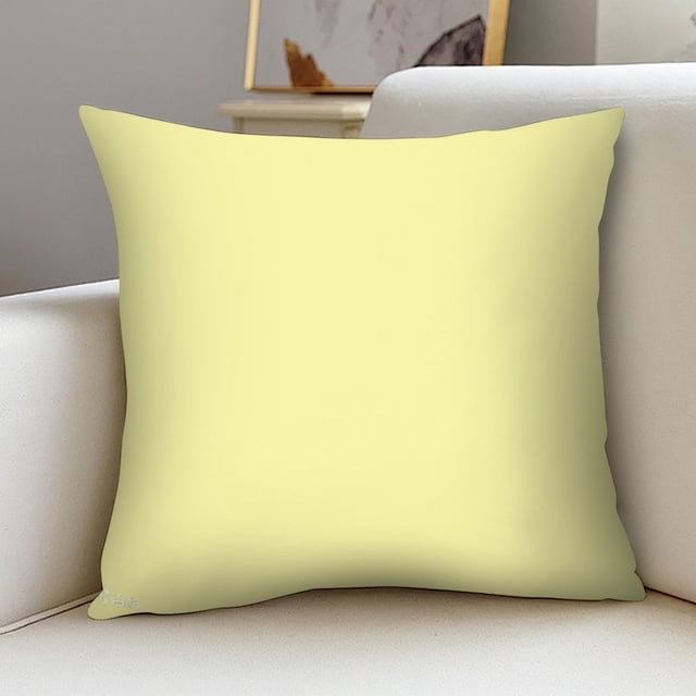 Outdoor Pillow Covers 18 x 18 Inch Modern Solid Color Cushion Cover Set of 2 Weather Resistant Fabric