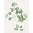 thumbnail image 2 of Carson, Danielle 15x18 White Modern Wood Framed Museum Art Print Titled - Nature Green VI, 2 of 4