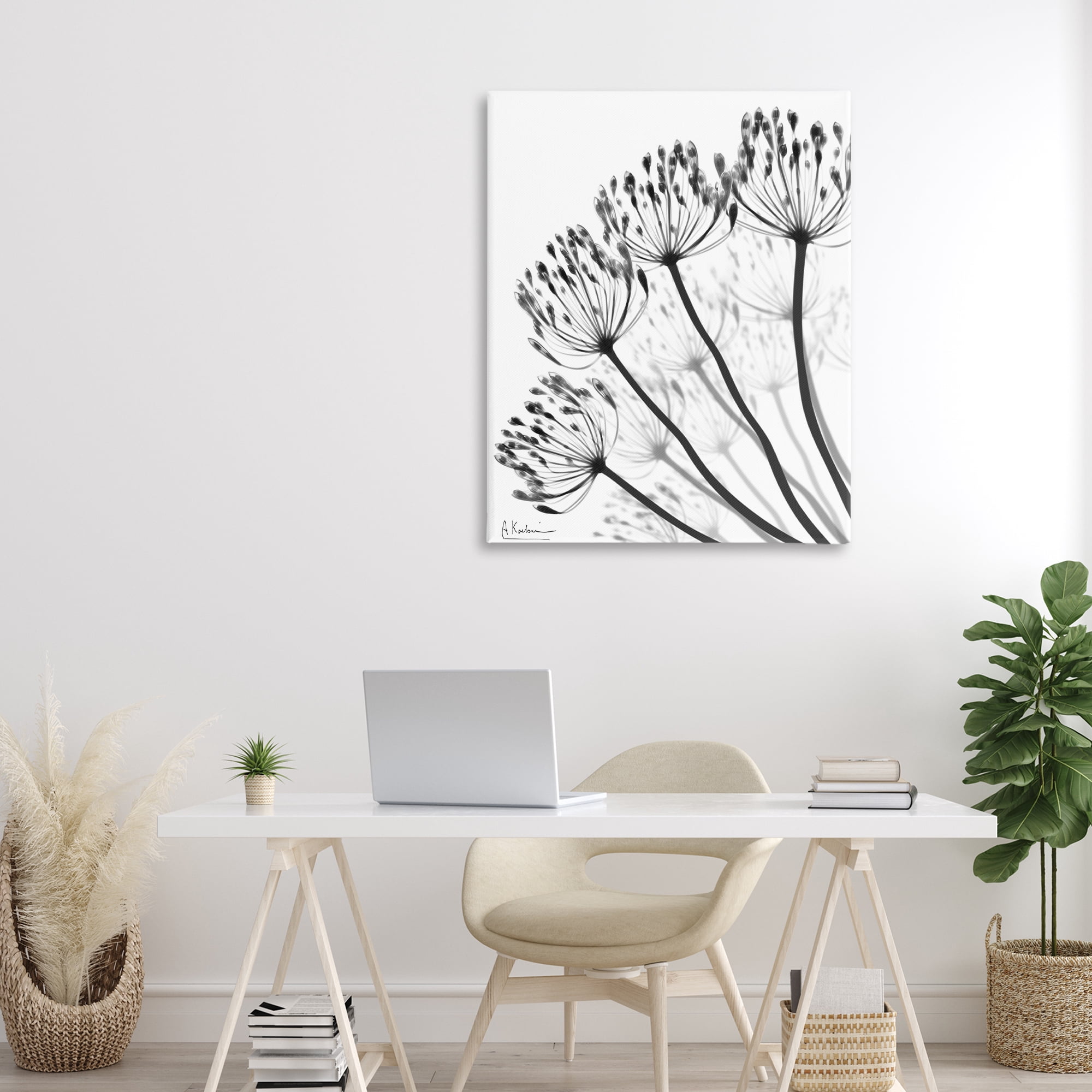 Stupell Industries Floral Fan Dandelions Canvas Wall Art, design by Albert Koetsier