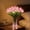 Pink, variant on Radiant Romantic Tulip Light, 15 PCS  Tulips Led Night Light, Artificial Bouquet Tulips Flower Shaped Ambient Night Lamp Bedroom Decorate Holiday Gifts