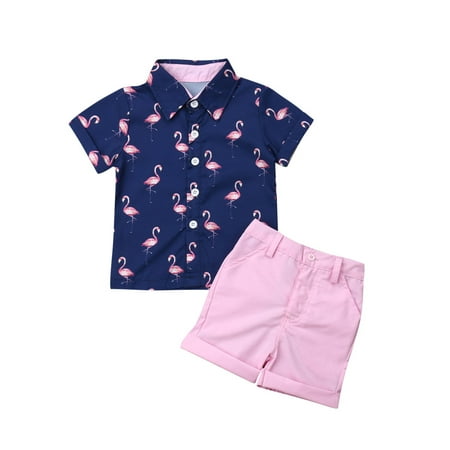

Gwiyeopda Toddler Baby Boy Flamingo Short Sleeve Button Down Shirt Shorts Set Summer Outfits