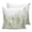 Sage Green, variant on Waterproof Outdoor Throw Pillows with Inserts 16"x16", Elegant Peacock Soft Decorative Pillowcases for Couch Bedroom, Vintage Attic Magnificent Feathers Pillow Covers for Sofa Living Room