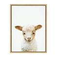 thumbnail image 3 of Kate and Laurel Sylvie Animal Studio Lamb Framed Canvas Wall Art by Amy Peterson Art Studio, 18x24 Natural, Modern Animal Portrait Art for Wall, 3 of 7