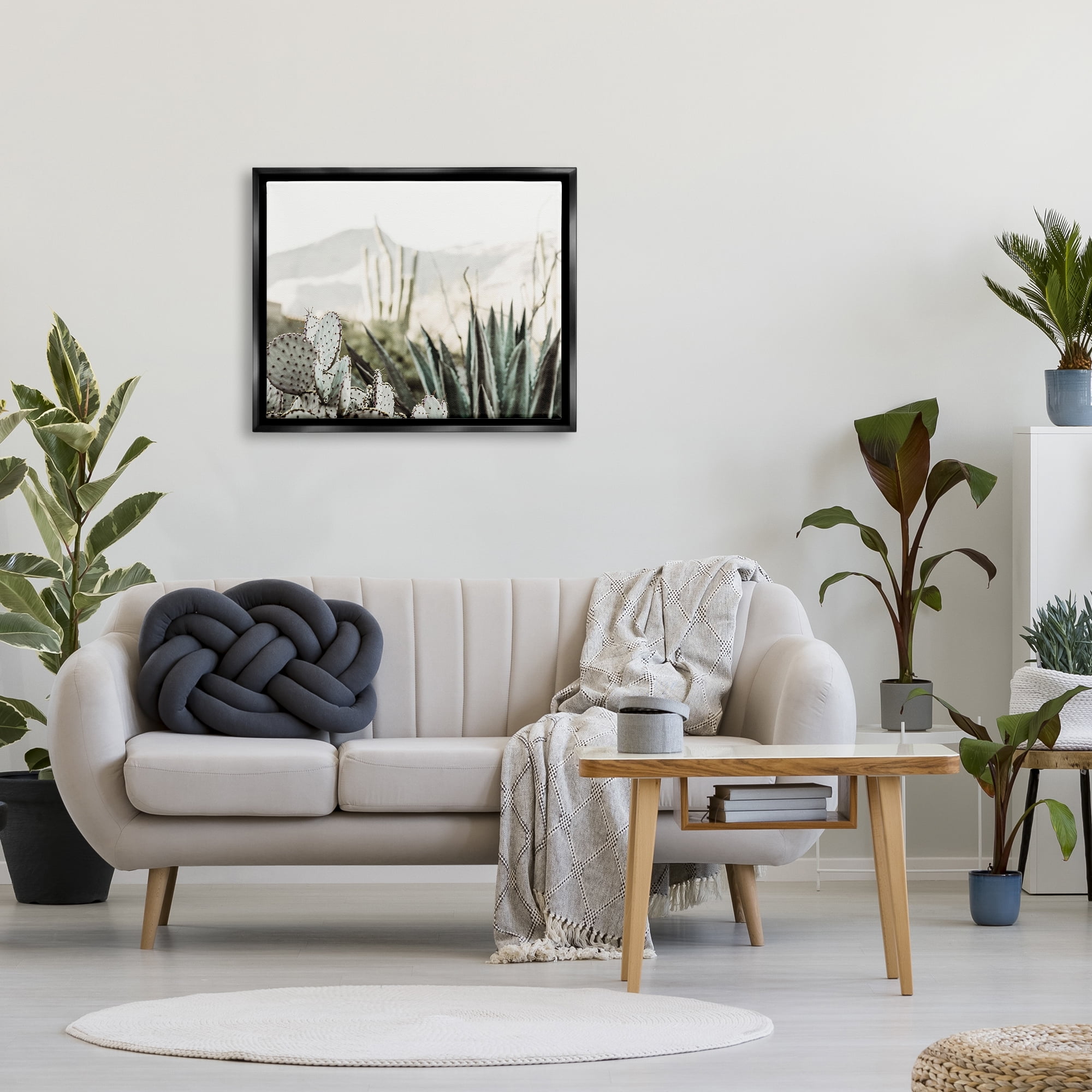 Stupell Industries Desert Cacti Photography Landscape Photography Black Floater Framed Canvas Art Print Wall Art, 31 x 25